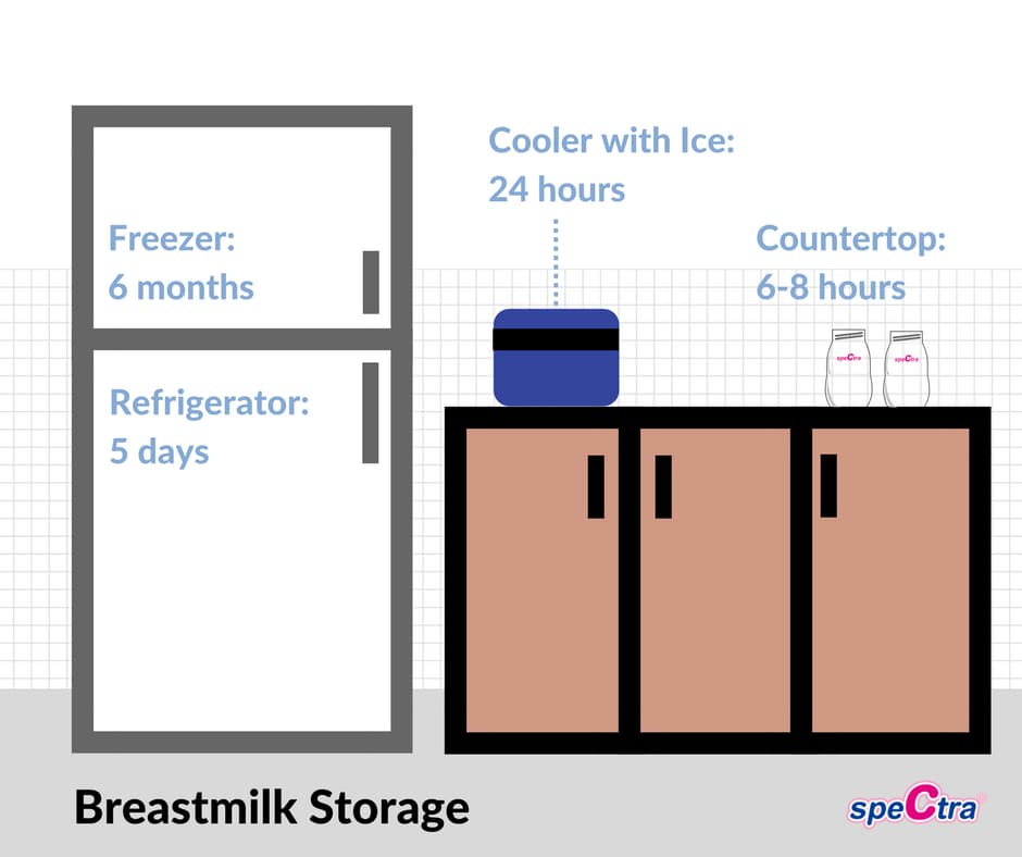 Spectra Baby's Breastmilk Storage Guide